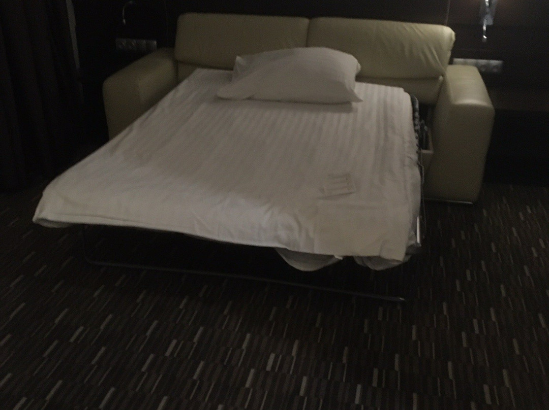 Park Hotel Diament Zabrze主图