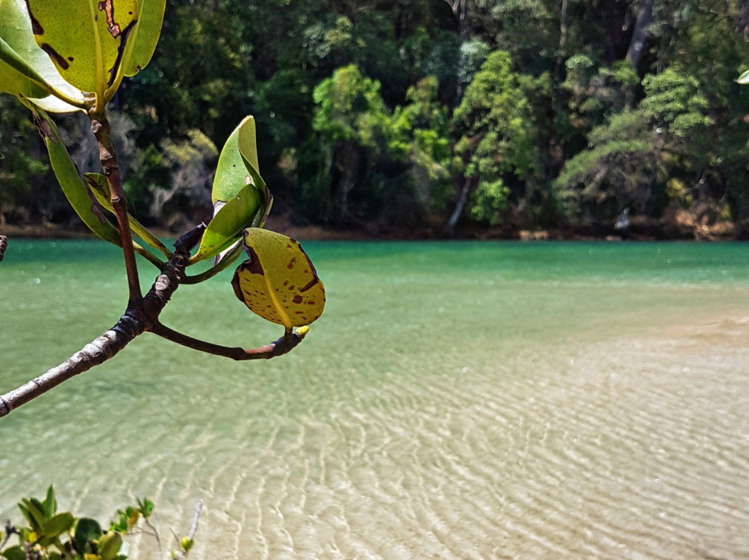 Action Outdoor Hire-棕榈海滩必去景点