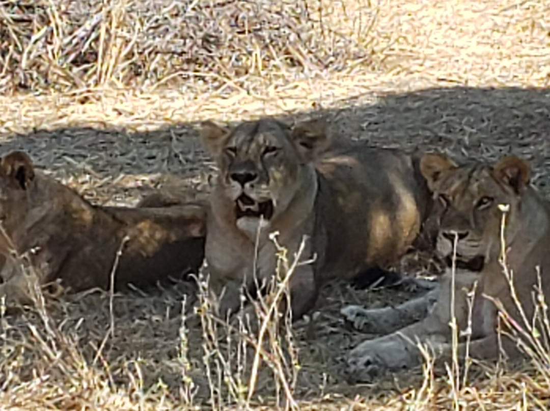 CRA Safari Tours-Iringa必去景点