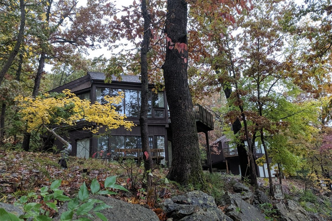 Treetop Village主图