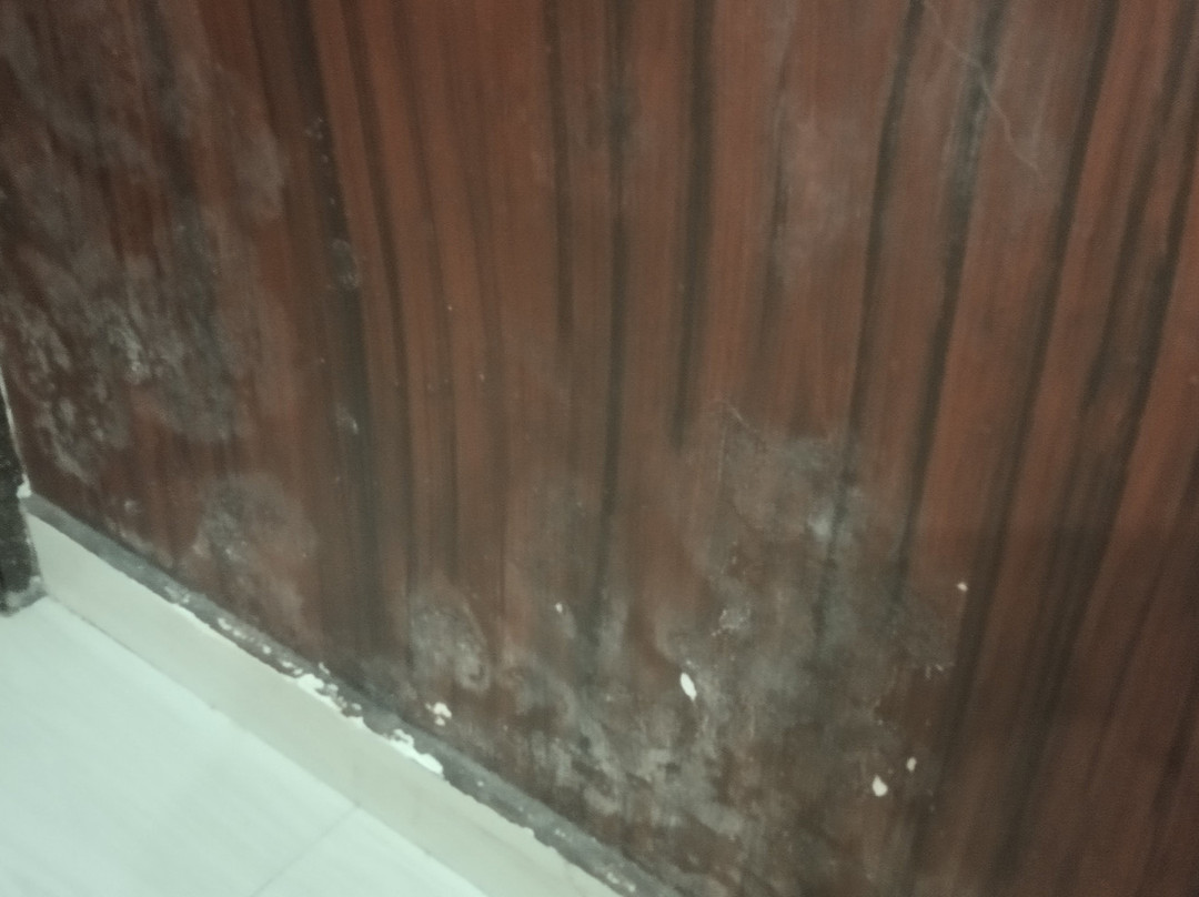 Hotel Bhammars主图