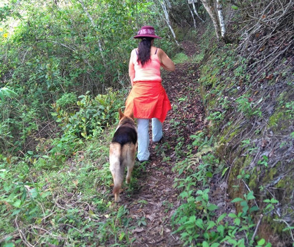 Willka Eco Lodge主图