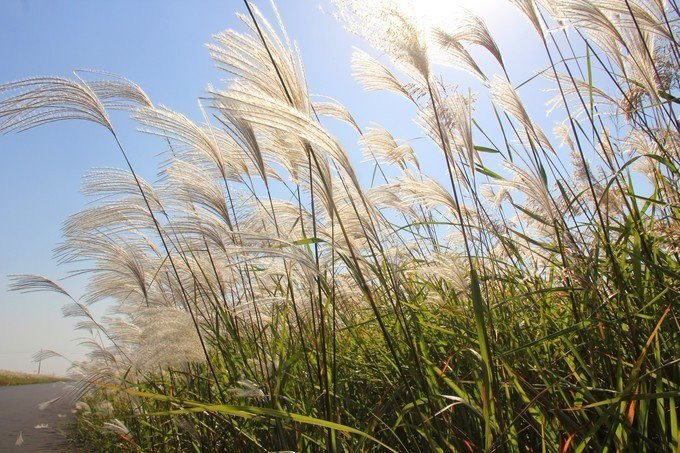 黄河入海口-东营市必去景点