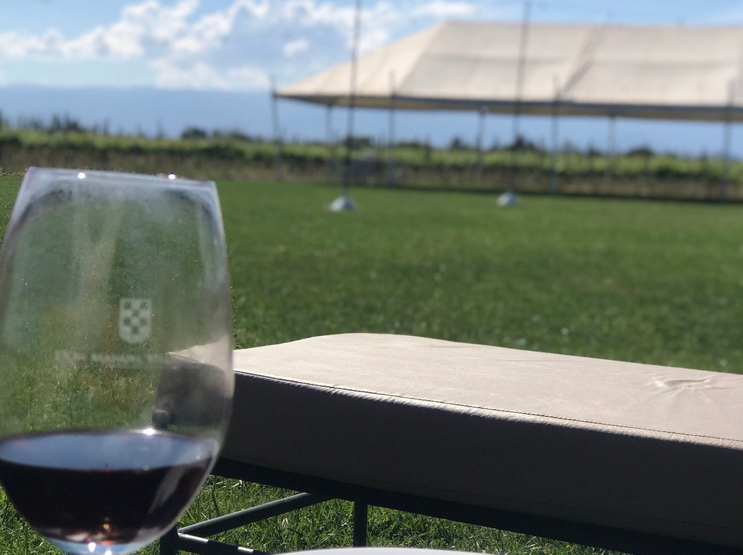 Don Manuel Villafañe Bodega-Maipu必去景点