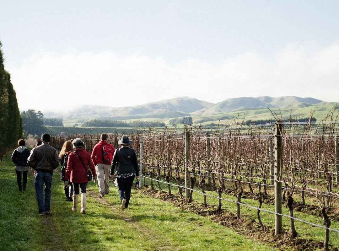 Martinborough Wine Walks景点图片