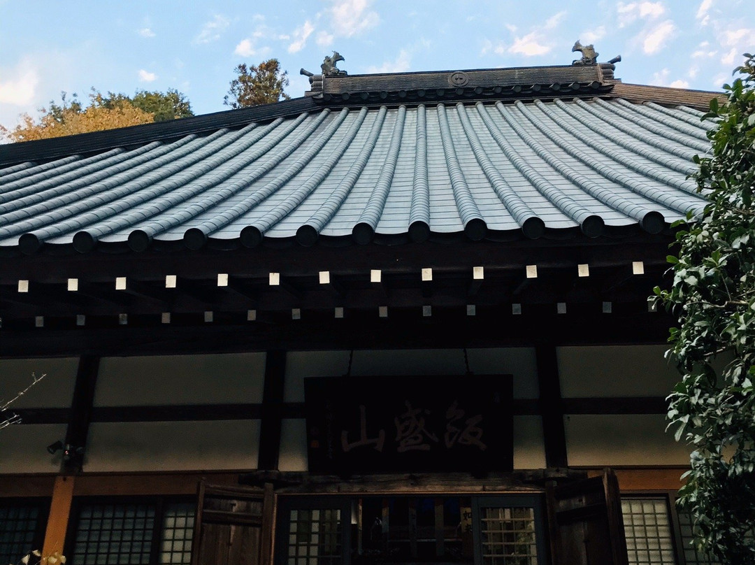 Kojakuji Temple-丰田市必去景点