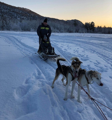 Stengelsen husky-阿尔塔必去景点