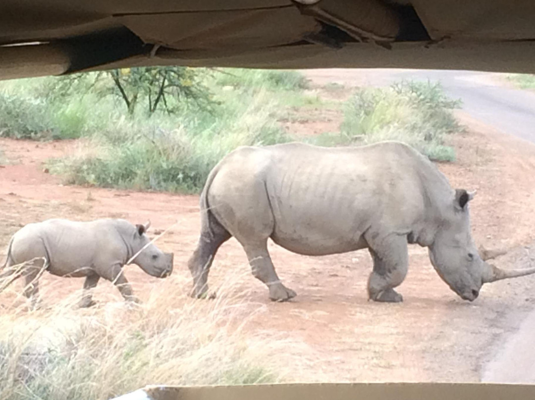 SIGNORE & SIGNORI-约翰内斯堡必去景点