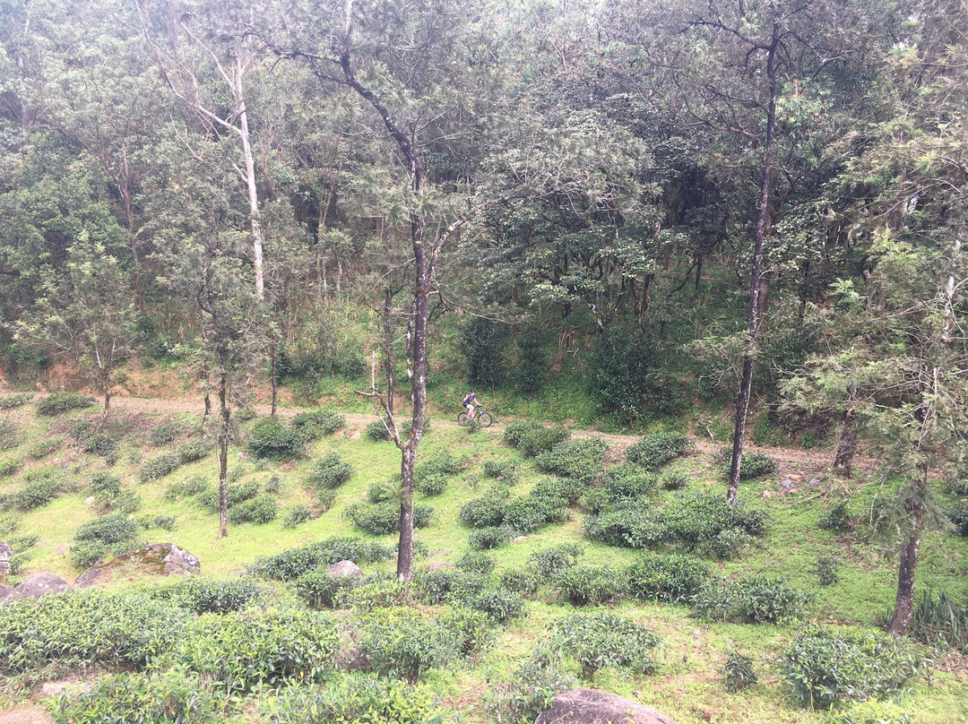 Cycle Tour Sri Lanka景点图片