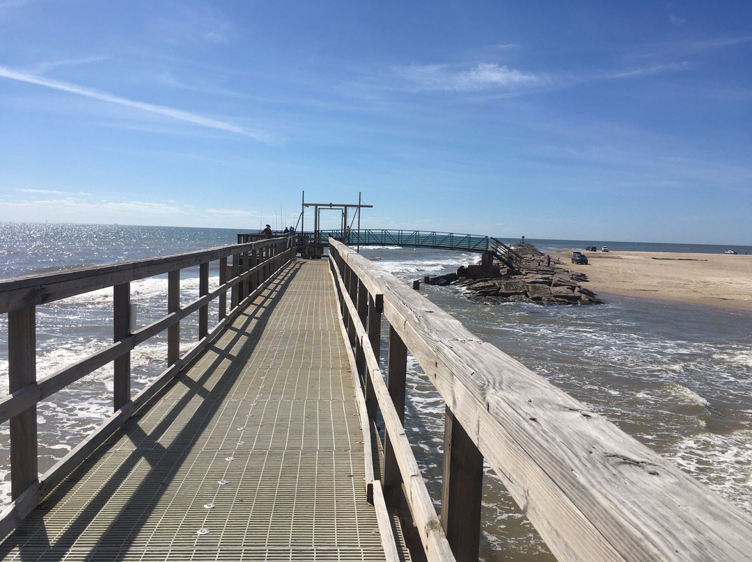 2023年11月Matagorda Bay Nature Park景点攻略-Matagorda Bay Nature Park门票预订|地址 ...