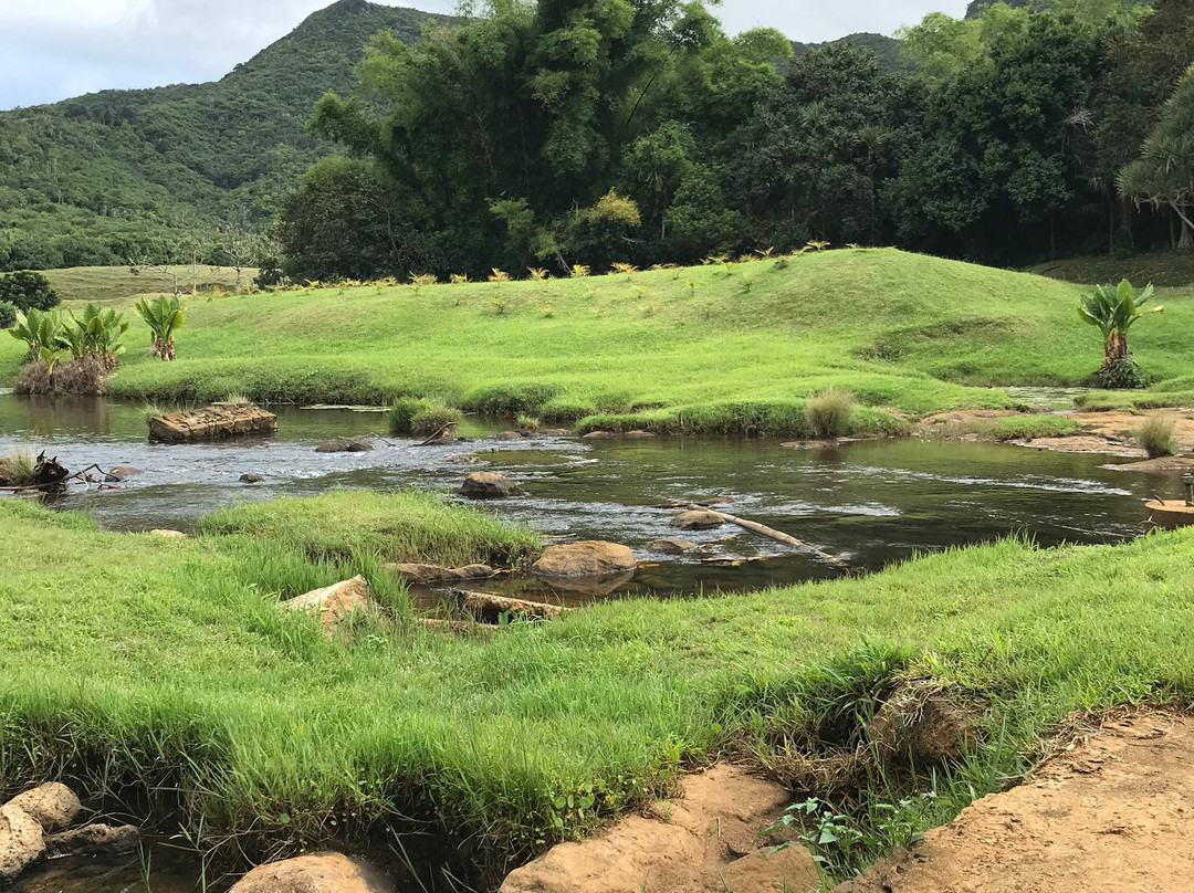 Domaine de l'Etoile景点图片