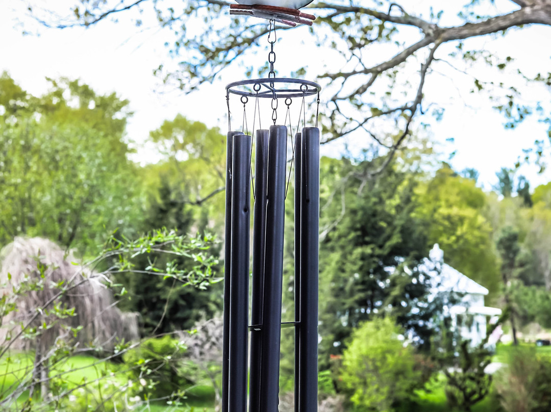 Changing Times Lodging主图