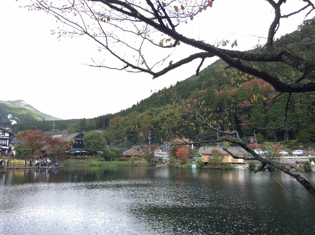 金鳞湖景点图片