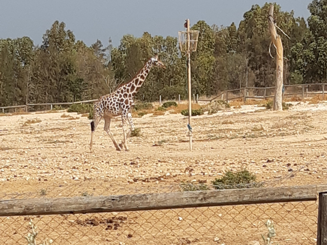 Friguia Park-哈玛麦德必去景点