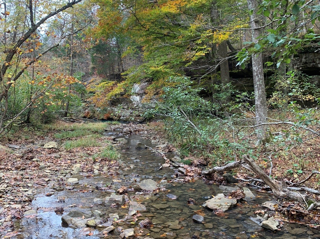 Bell Smith Springs-Ozark必去景点