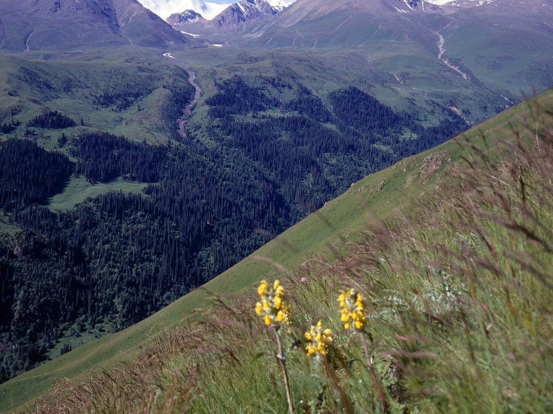 Turgenskoye Gorge-Turgen必去景点