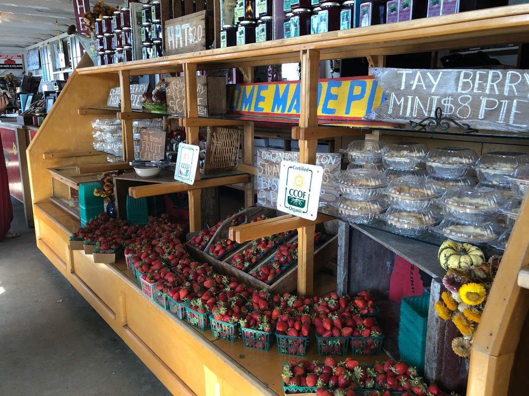 Swanton Berry Farm-佩斯卡德罗必去景点