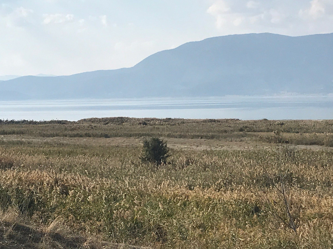 Burdur Golu Kus Cenneti-Burdur必去景点
