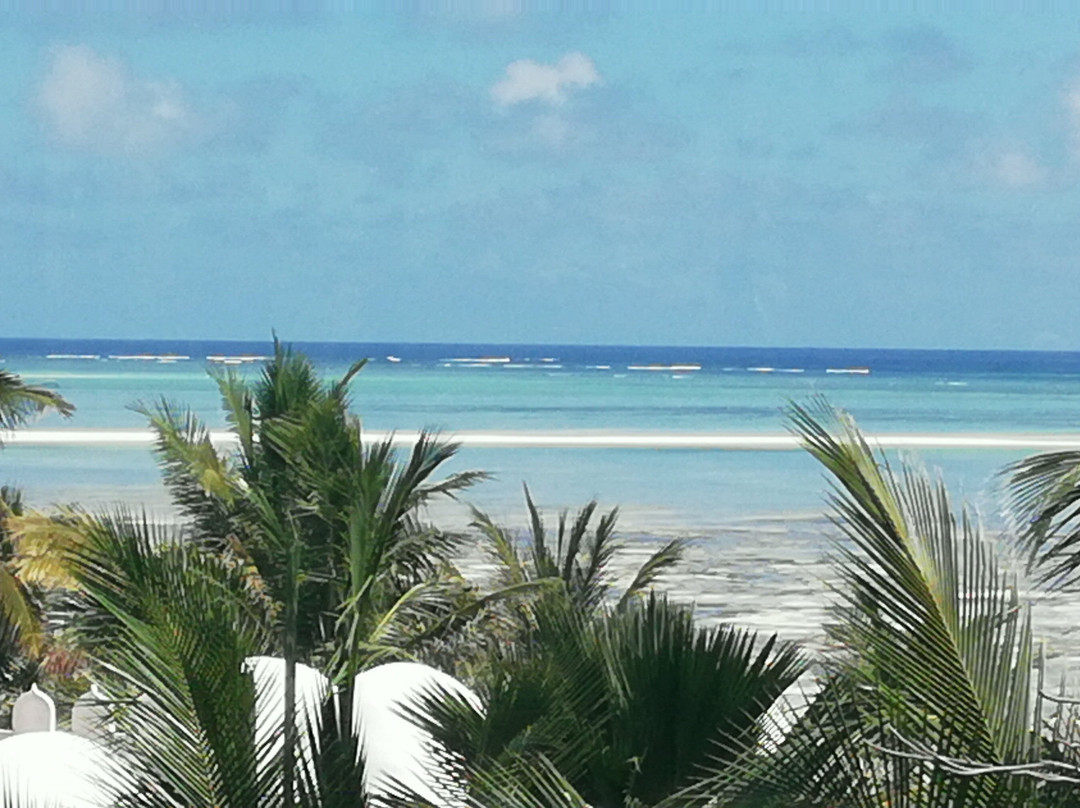 Jacaranda Beach Resort主图