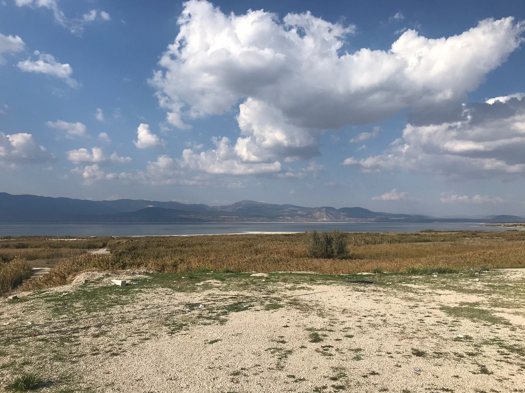 Burdur Golu Kus Cenneti-Burdur必去景点
