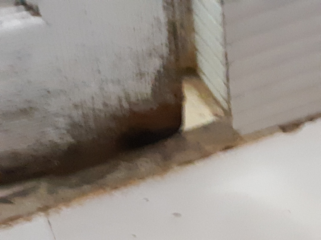 Mount 'n' Mist主图