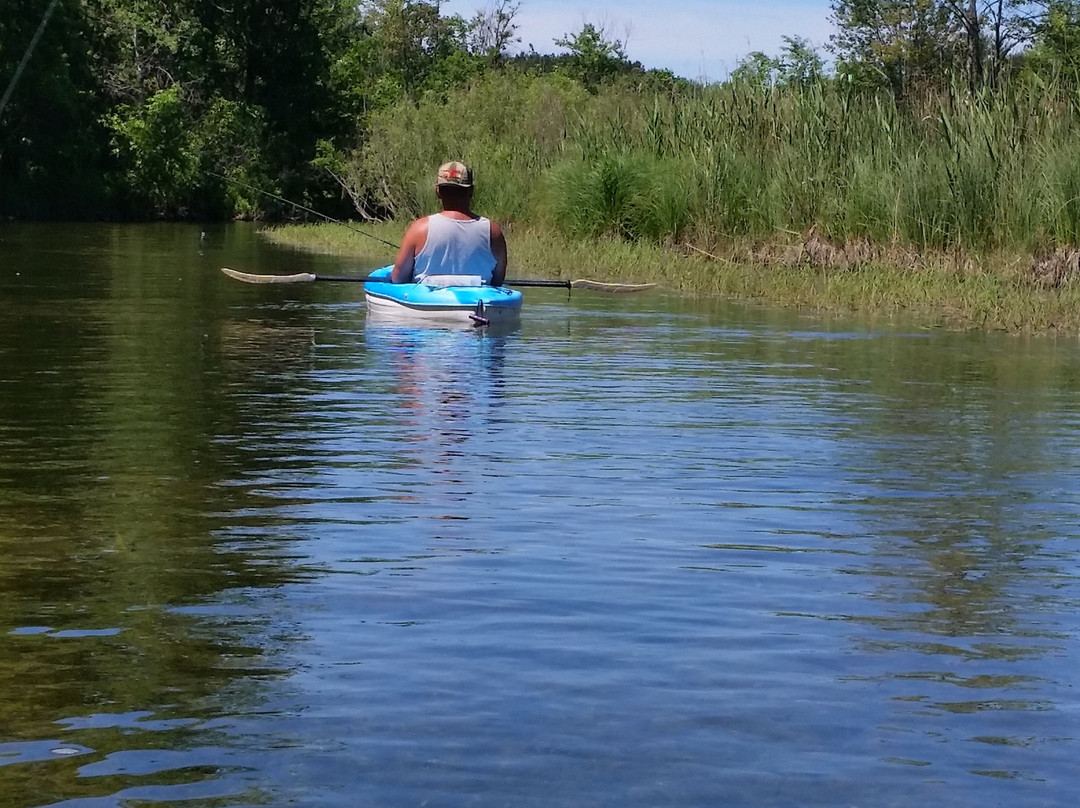 Pontiac Lake Recreation Area-Waterford必去景点