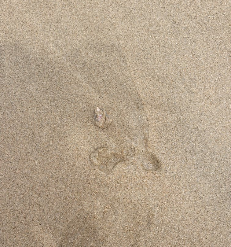 Cola Beach-Sedgefield必去景点