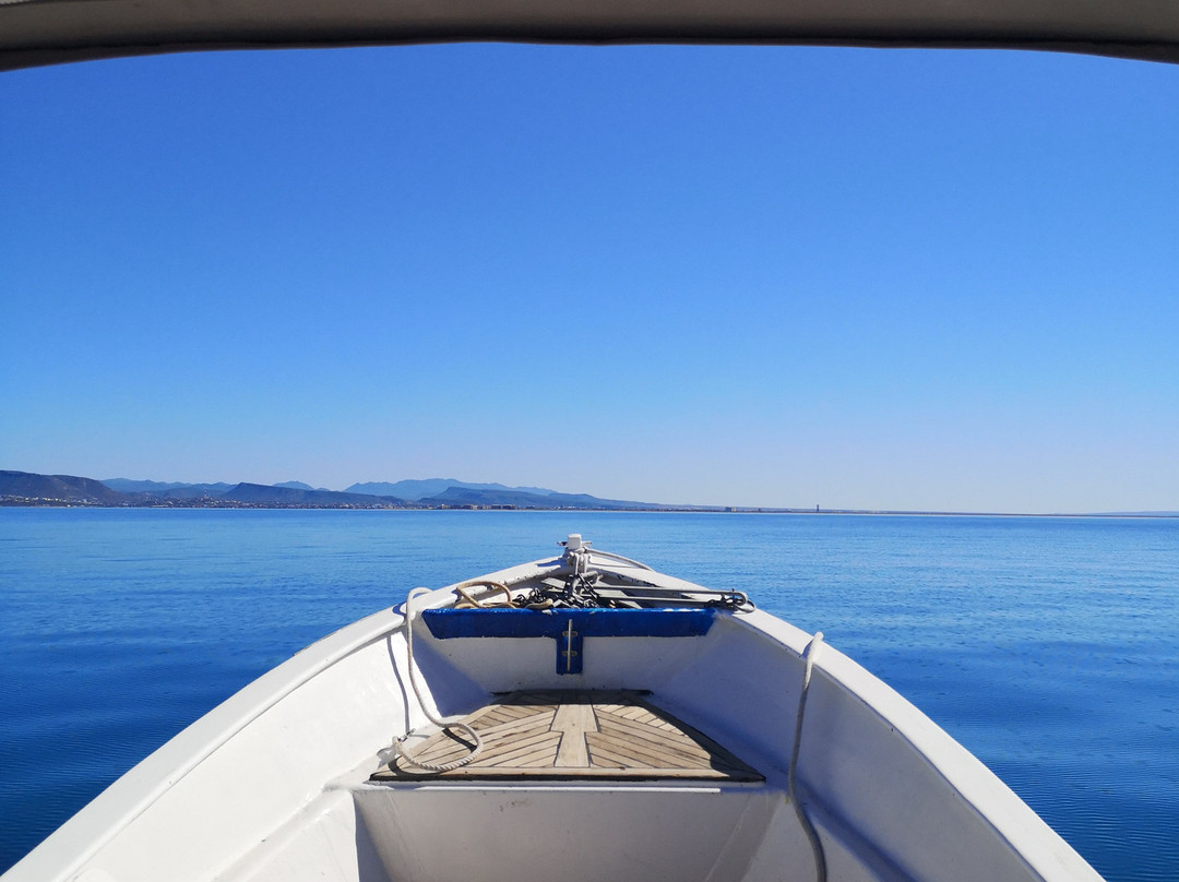 MT Solomons Freediving-拉巴斯必去景点