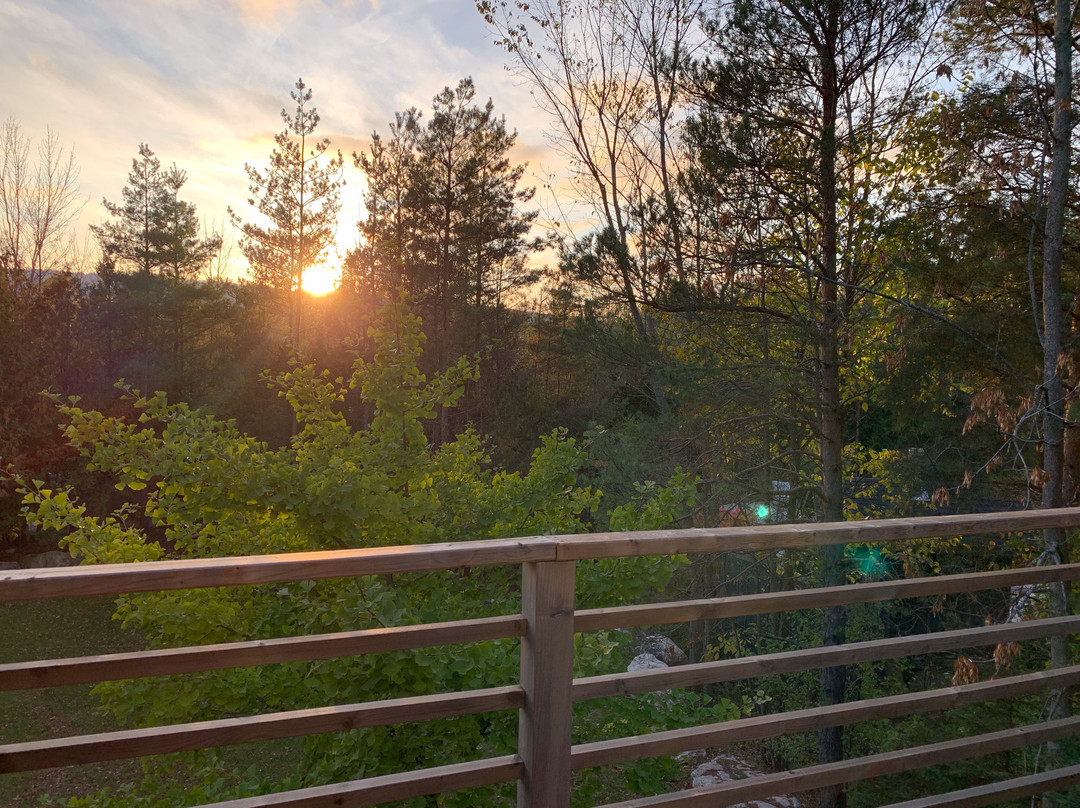 Craigleith Manor Bed and Breakfast主图