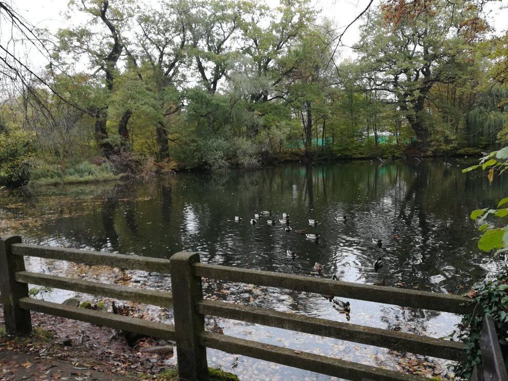 Kurpark Bad Salzhausen景点图片