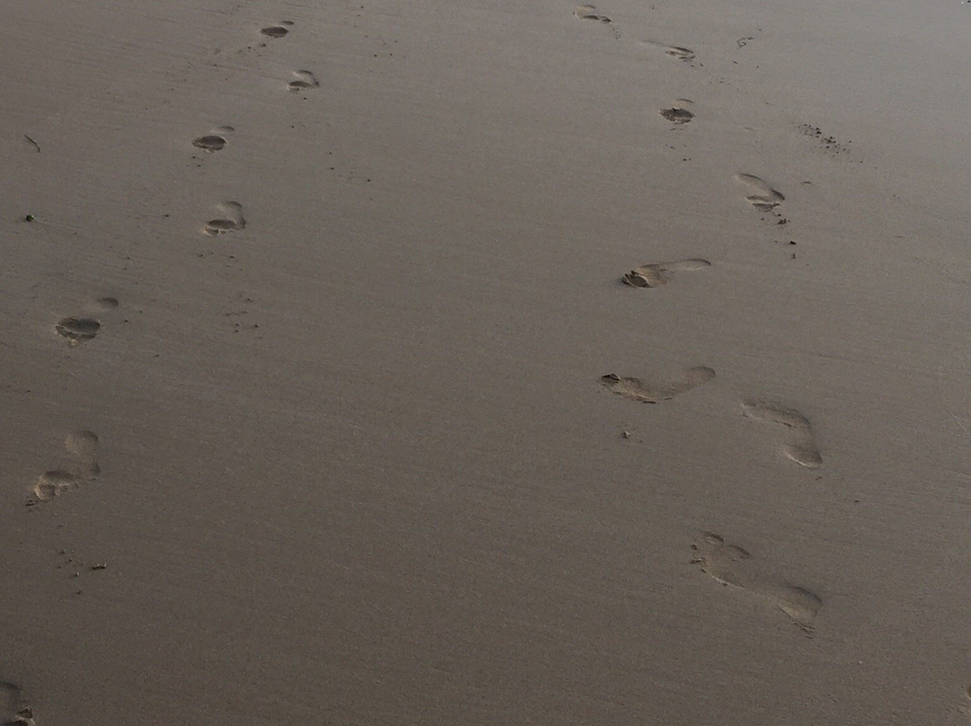Ocean Grove Beach-Ocean Grove必去景点