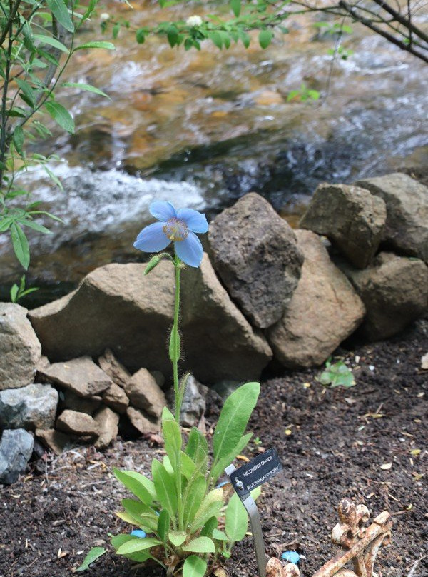 Tizer Botanical Gardens & Arboretum景点图片