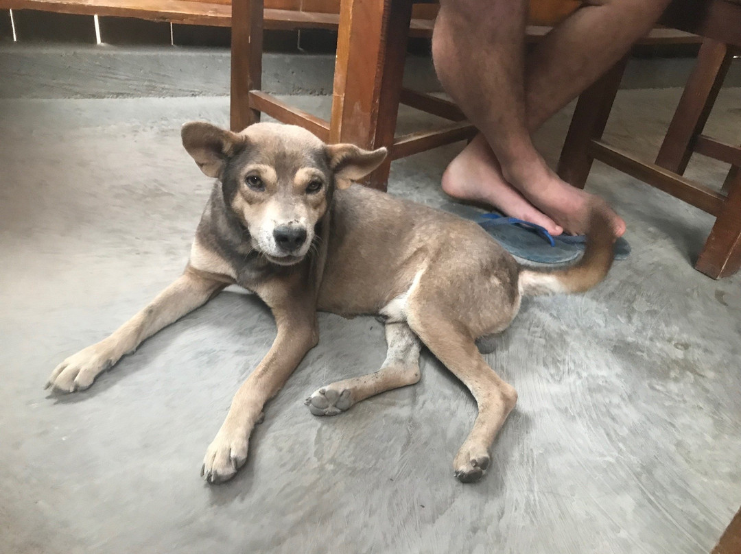 Manukoko Rek Guesthouse主图