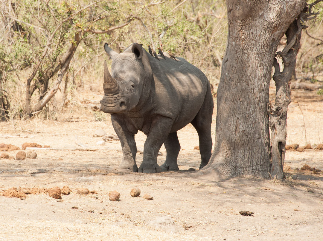 丛林漫步之旅酒店主图