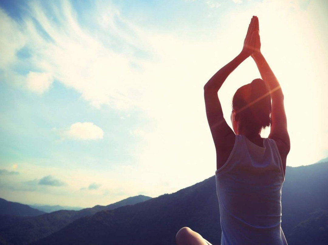 Villa Foia Vella主图