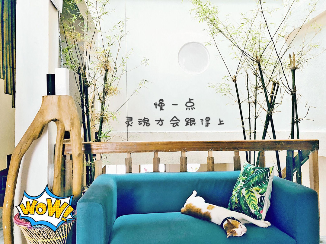 Ikkyu主图