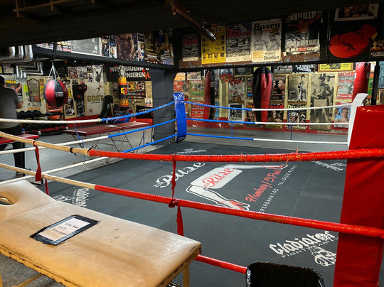 Adventure World Tours-汉堡必去景点