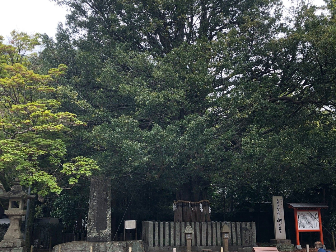 Kumano Hayatama Taisha Oshimboku Nagi-新宫市必去景点