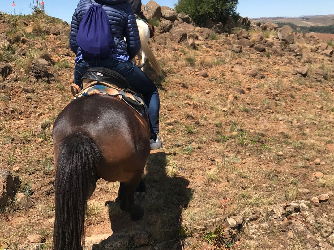 Khotso Horse Trails-安德堡必去景点