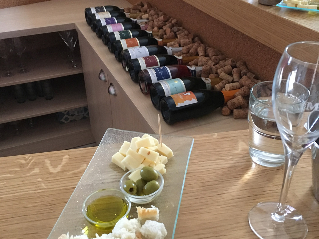 Istria Wine Tours-罗维尼必去景点