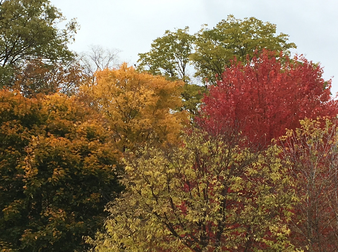 Springbank Park-伦敦必去景点