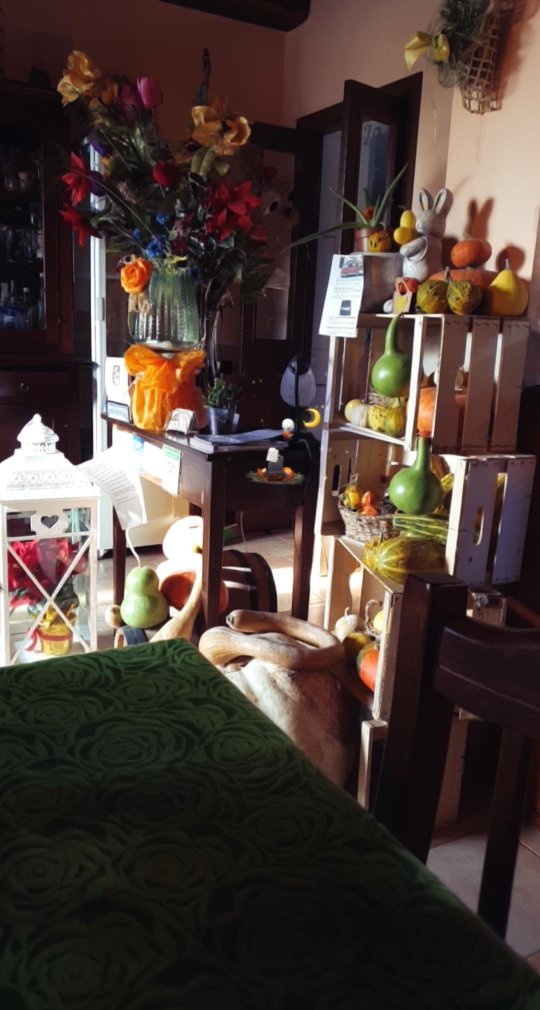 Agriturismo L'Ulivo in Fiore-官方