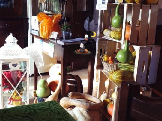 Agriturismo L'Ulivo in Fiore主图