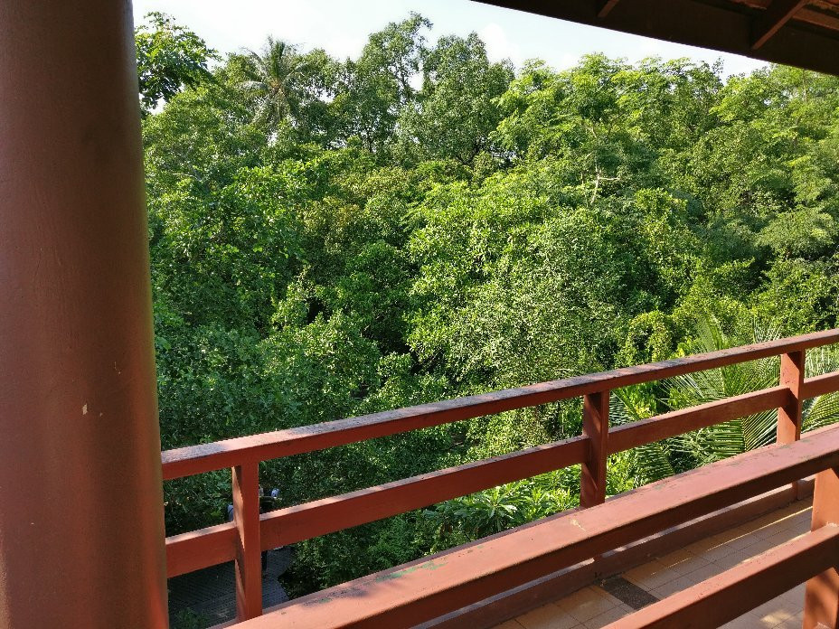 Sri Nakhon Khuean Khan Park And Botanical Garden-帕巴登必去景点