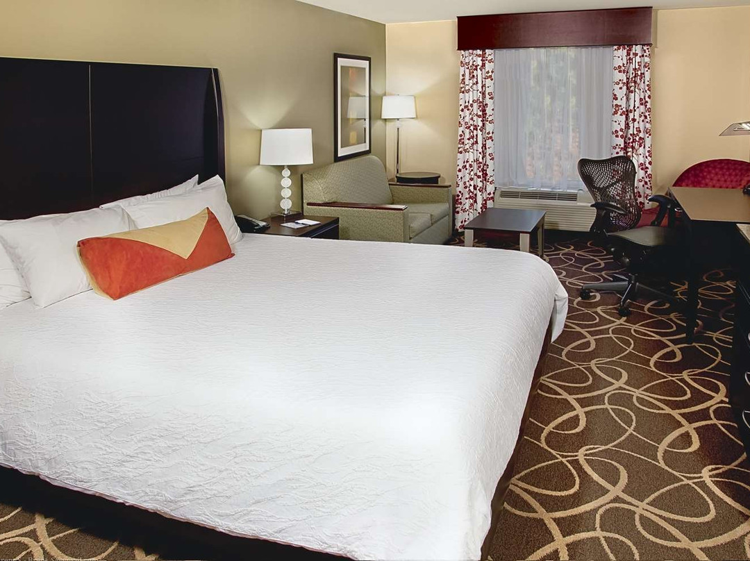 Hilton Garden Inn Atlanta/peachtree City主图