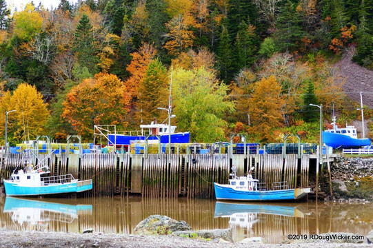 Go Fundy Tours-圣约翰必去景点