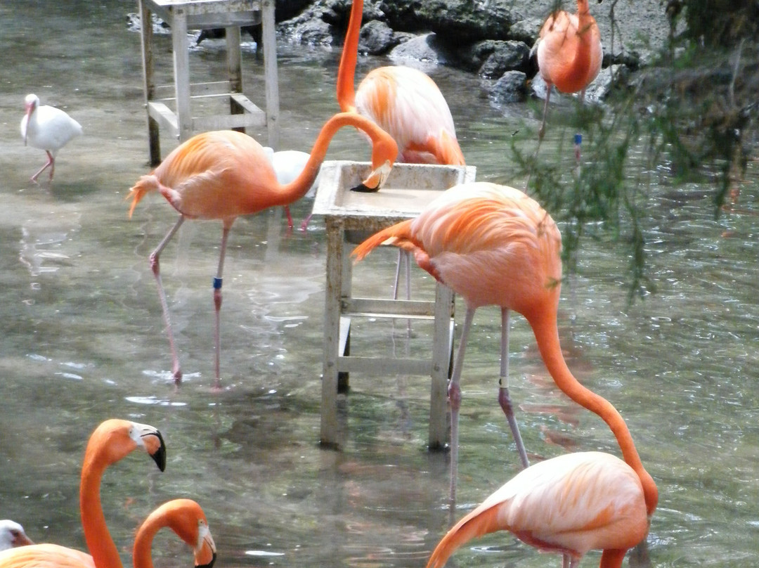 Cedar Keys National Wildlife Refuge景点图片