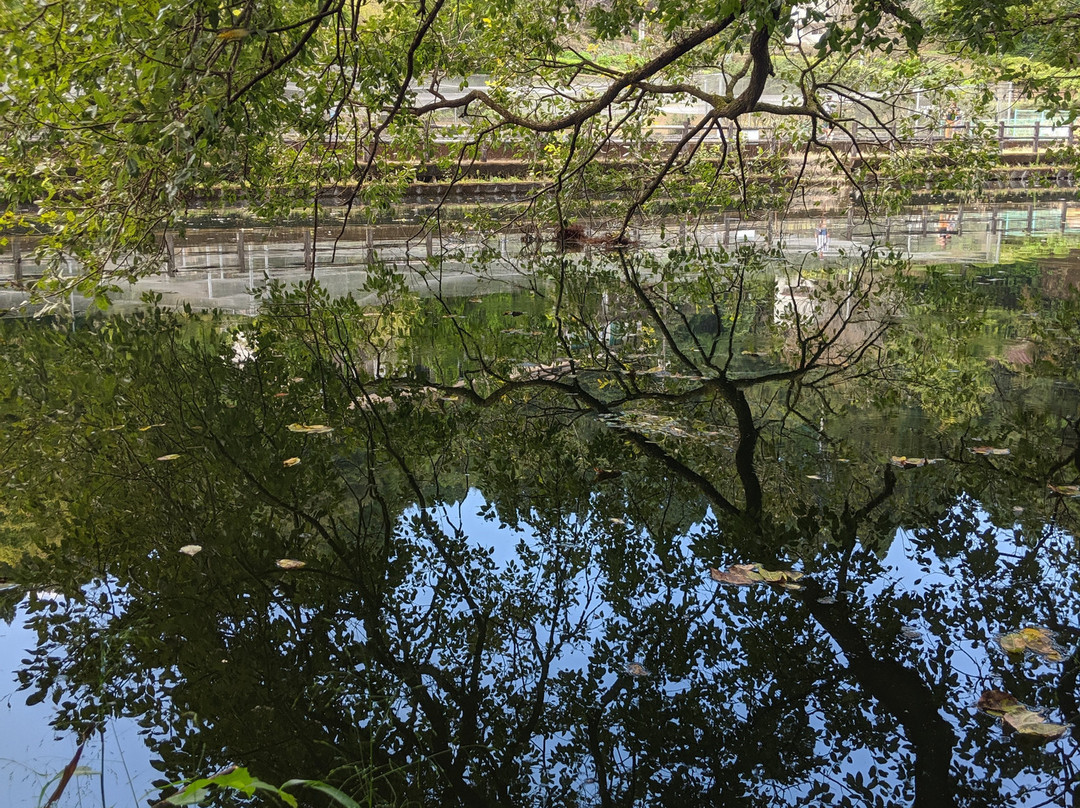 Idenoyama Park景点图片