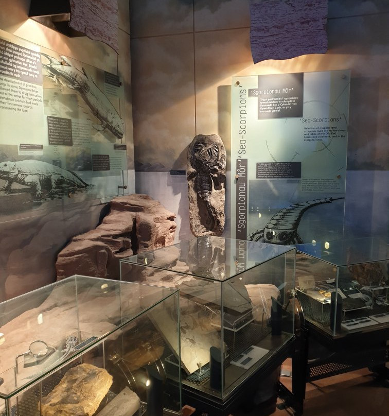 Porthcawl Museum景点图片