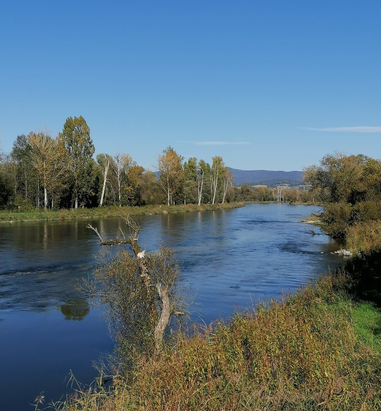 Infohaus Isarmuendung-Moos必去景点